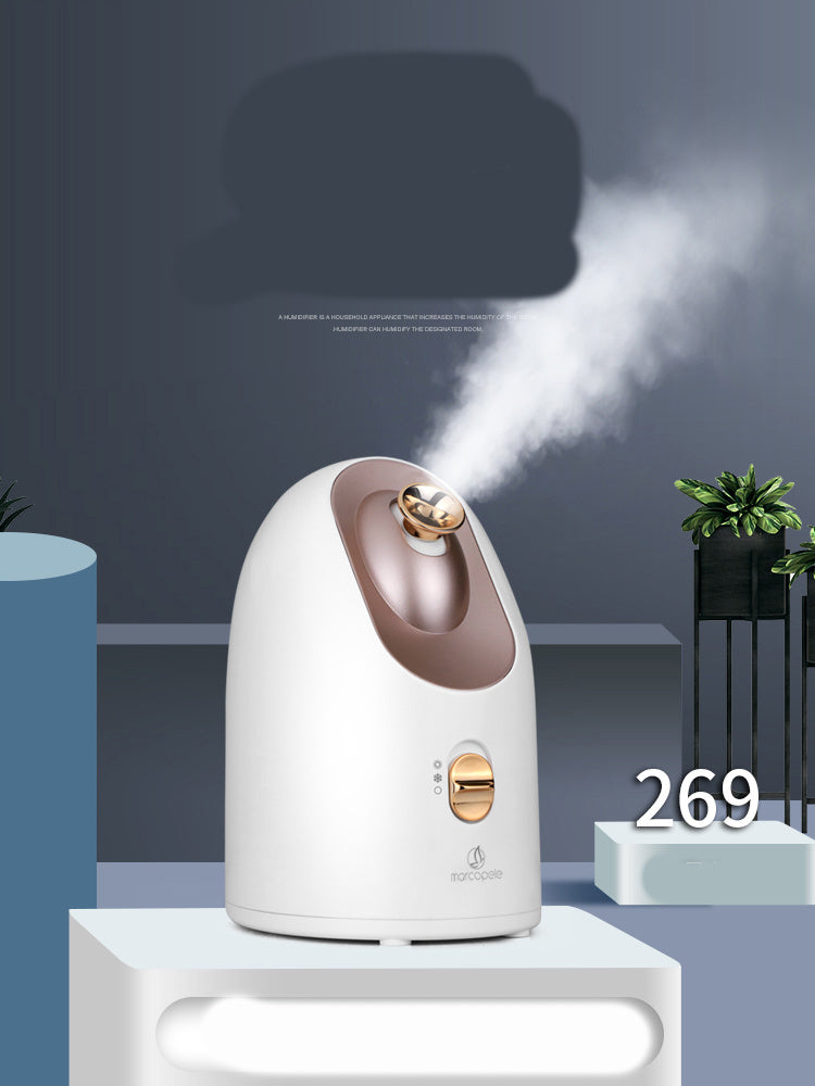 Bluepresents hot and cold face humidifier