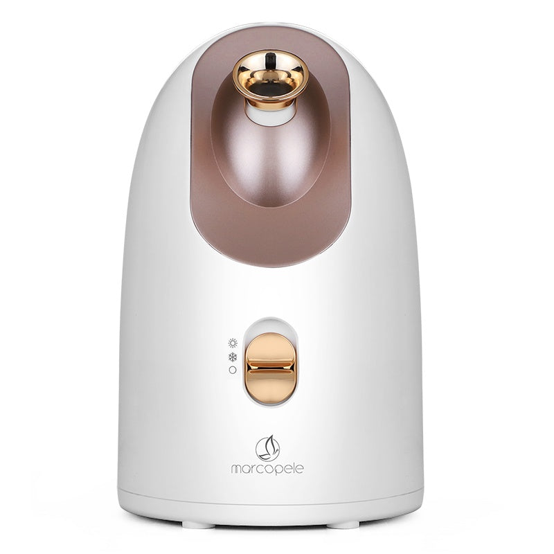 Bluepresents hot and cold face humidifier