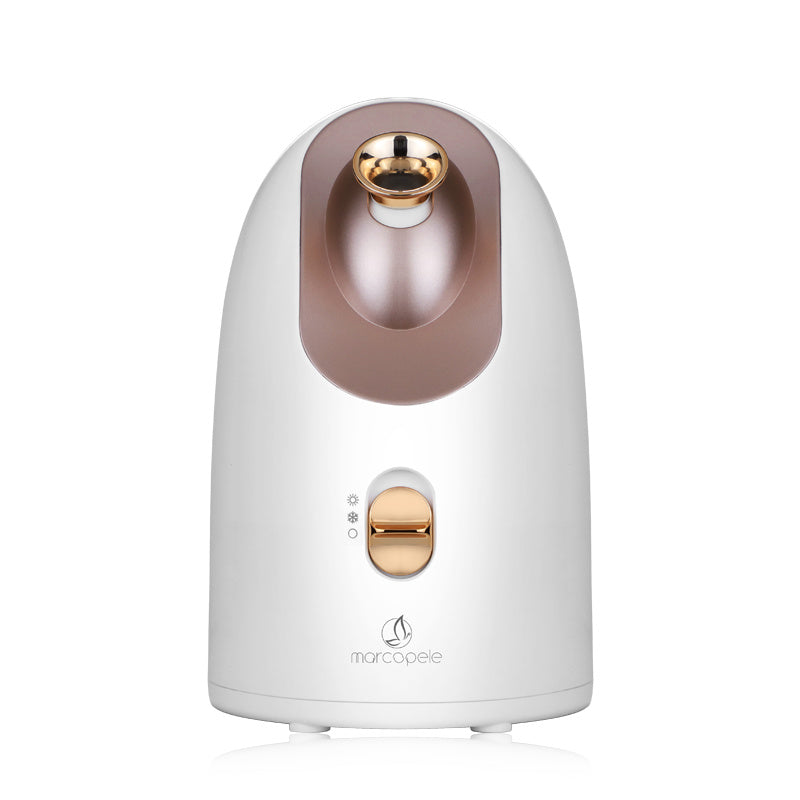 Bluepresents hot and cold face humidifier